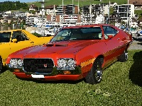 Detlef's 72er GranTorino