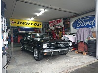 Tom's 66er Mustang